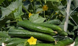 免费吃瓜 每日更新,每日新鲜资讯，尽在掌握！